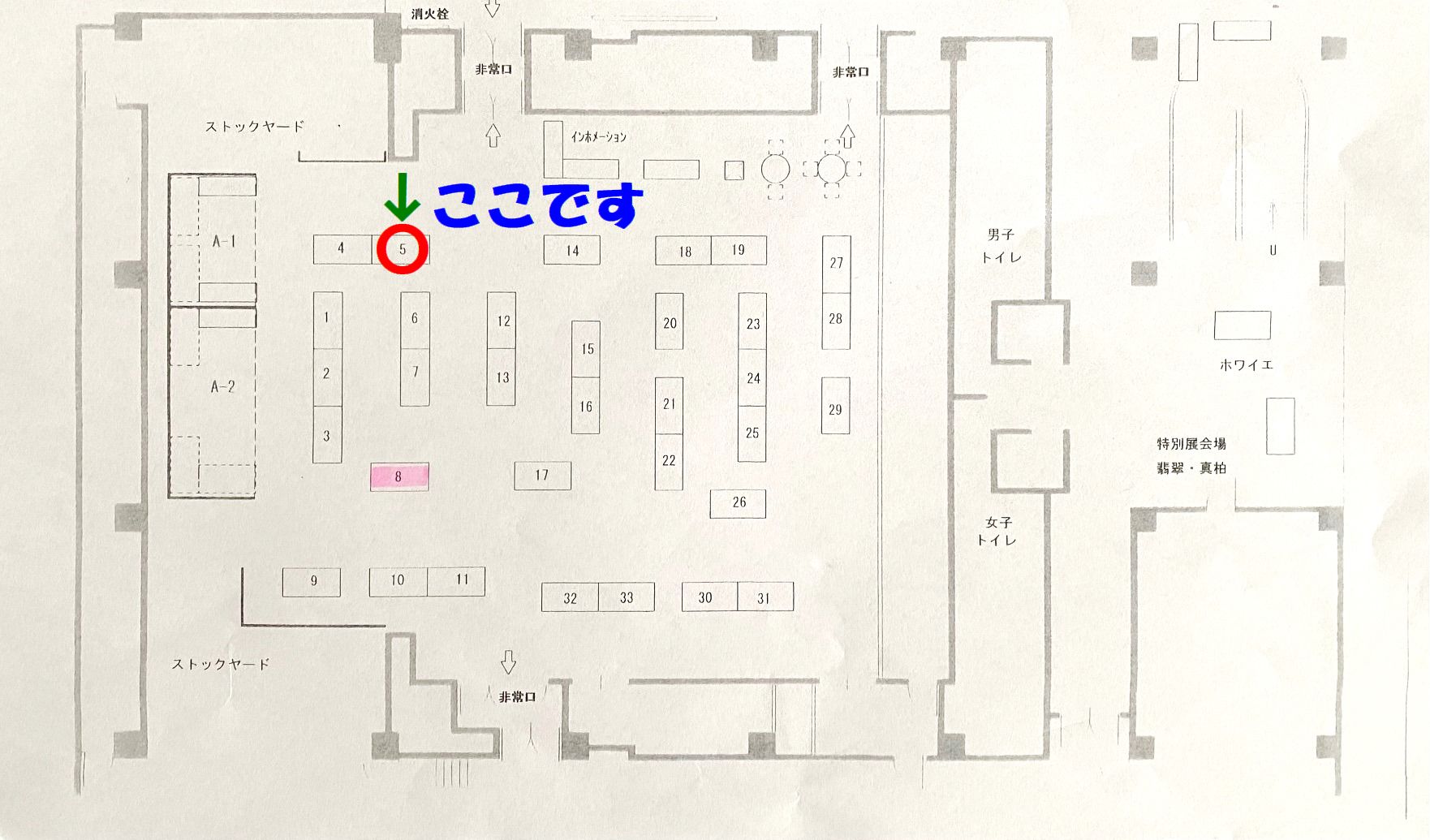 第3回糸魚川世界の石展へ出展いたします