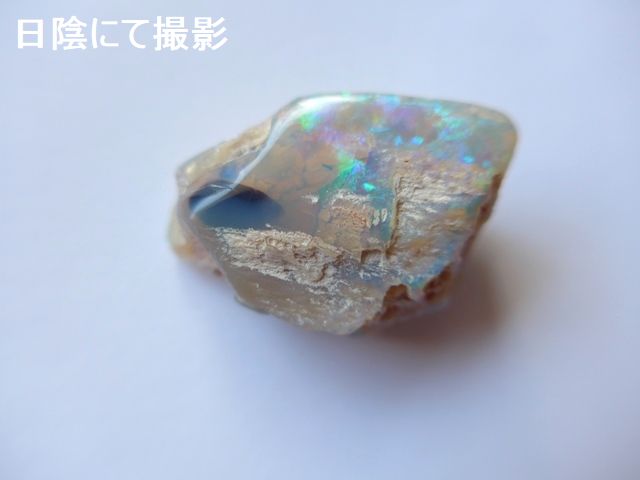 超珍品！珪化木オパール迫力の139ct木の枝の化石のオパール化