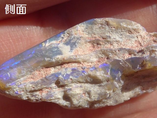 ウッドオパール（珪化木）